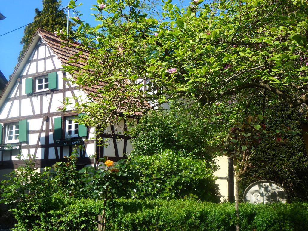 Baumanns Landhaus Durbach Exterior foto